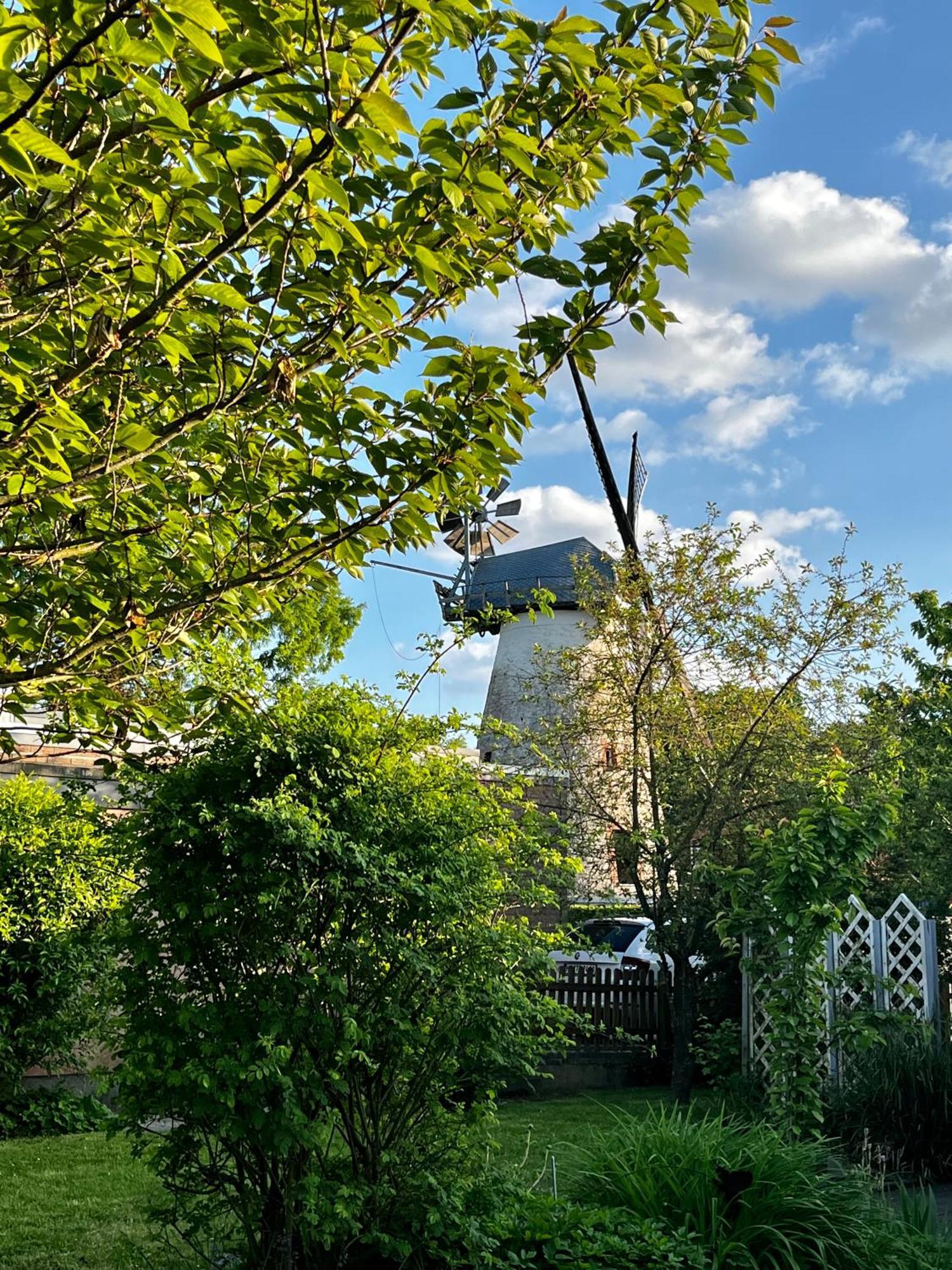 Ferienhaus Windmuehlenweg Mit Grossem Sonnigen Garten -Neu- Spenge エクステリア 写真